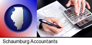 Schaumburg, Illinois - an accountant at work