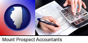 an accountant at work in Mount Prospect, IL